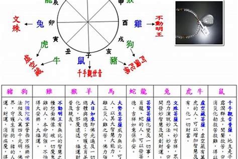 如何知道自己五行屬性|【怎麼看自己的五行】掌握五行玄機！一看便知自己的五行屬性！